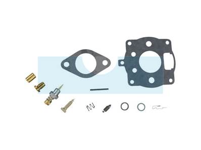 Kit réparation carburateur pour moteur Briggs & Stratton (492024)