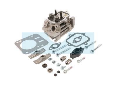 Culasse pour moteur Briggs & Stratton (594514)