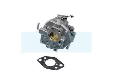 Carburateur pour moteur Briggs & Stratton (809011)