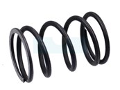 Ressort de soupape pour moteur Honda (14751ZL8000)
