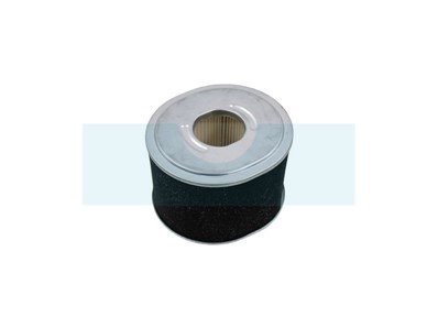 Filtre à air pour moteur Briggs & Stratton (592605)