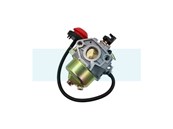 Carburateur pour moteur MTD (75111193)
