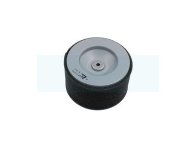 Filtre à air pour moteur Lombardini (2175254)