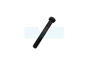 Vis de lame pour tondeuse Castelgarden / GGP (112736820)