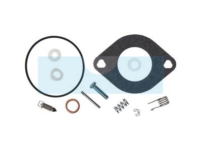 Kit réparation de carburateur pour moteur Briggs & Stratton (594886)