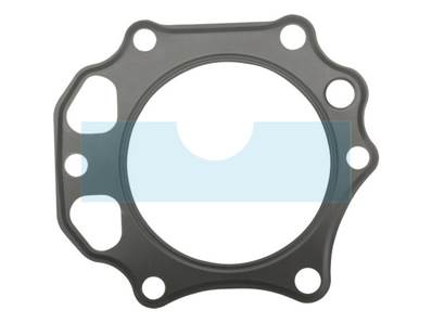 Joint de culasse pour moteur Kawasaki (110042138)