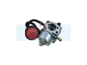 Carburateur pour moteur MTD (75110736)