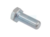 Vis pour tracteur tondeuse MTD (710-0152)