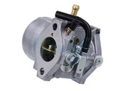 Carburateur pour moteur Kawasaki (150032693)