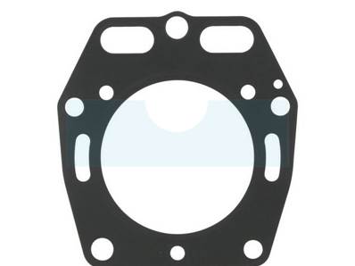 Joint de culasse pour moteur Kawasaki (110022104)
