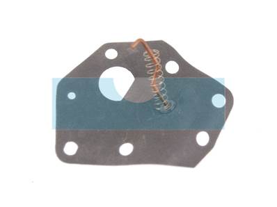 Membrane pour moteur Briggs & Stratton (299637)