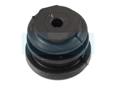 Silent Bloc pour Echo (10091032630)