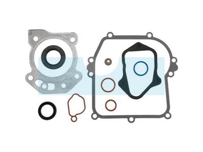 Pochette de joint pour moteur Briggs & Stratton (595354)