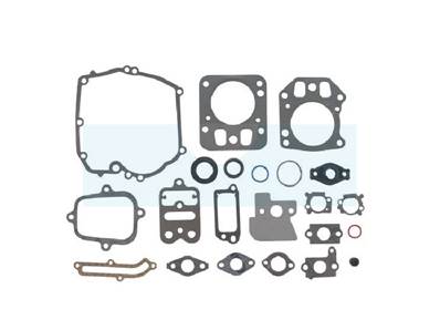 Pochette de joint pour moteur Briggs & Stratton (795442)