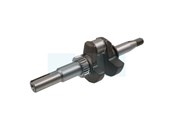 Vilebrequin pour moteur Briggs & Stratton (797019)
