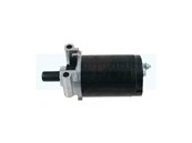 Démarreur pour moteur Kohler (52509819)