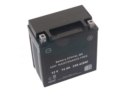 Batterie tondeuse 12V 14Ah (GEL / AGM) (FTX16)
