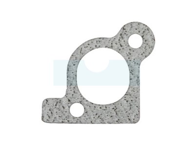 Joint d'admission pour moteur Briggs & Stratton (806418)