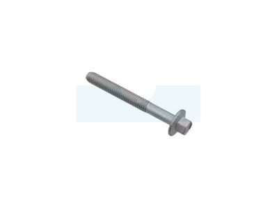 Vis de culasse pour moteur Briggs & Stratton (592244)