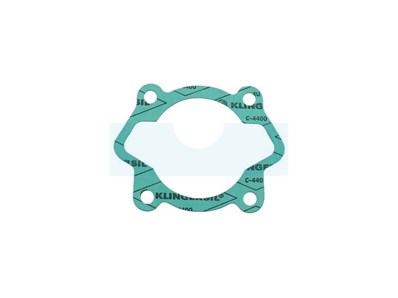 Joint d'embase pour moteur AS Motor (G00103009)