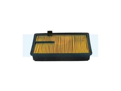 Filtre à air pour Kubota (16667-11080)