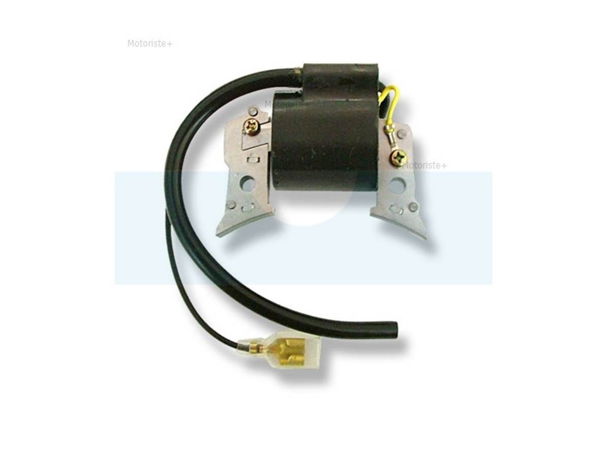 Bobine d'allumage moteur Robin EC12 1617120211 - Allumage