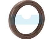 Joint spi pour Briggs & Stratton (841596)
