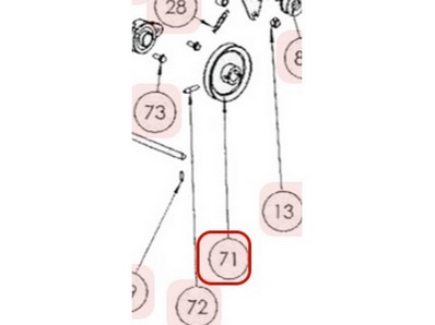 Poulie de rotor pour scarificateur Roques & Lecoeur (0002020005)