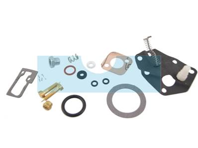 Kit réparation carburateur pour moteur Briggs & Stratton (494622)