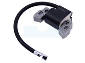 Bobine d'allumage pour moteur Briggs & Stratton (796499)