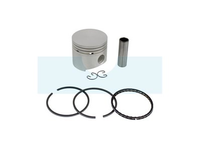 Piston pour moteur Kohler (4787401)