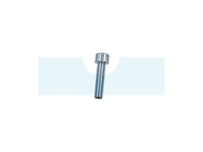 Vis à tête cylindrique à six pans creux (BTR, Allen) M10 x 1,5mm
