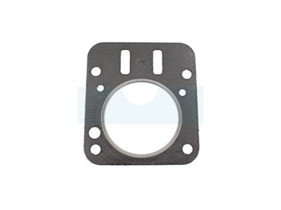 Joint de culasse pour moteur Briggs & Stratton (798461)
