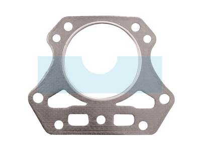 Joint de culasse pour moteur Kawasaki (110047016)