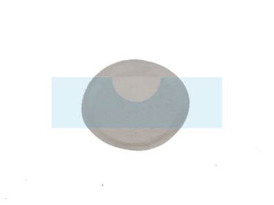 Filtre pour Echo / Shindaiwa (P003005040)