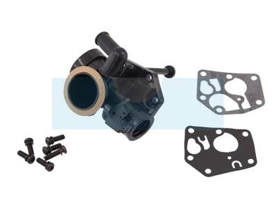 Carburateur pour moteur Briggs & Stratton (494407)