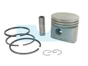 Piston pour moteur Tecumseh (31797b)