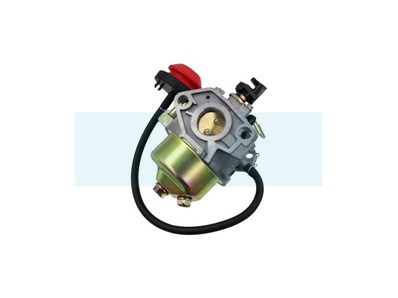 Carburateur pour moteur MTD (75111193)
