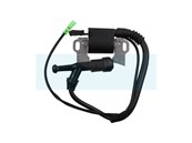 Bobine d'allumage pour moteur Kohler (1758403)