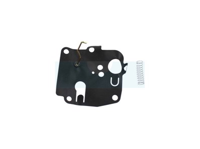 Membrane + ressort pour moteur Briggs & Stratton (391681)