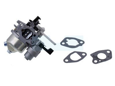 Carburateur pour moteur Briggs & Stratton (596080)