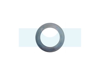 Bague pour tondeuse Wolf (ET42068)