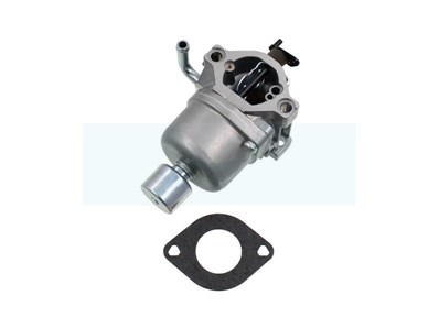 Carburateur pour moteur Briggs et Stratton (590400)