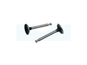 Kit soupapes pour moteur Loncin (500550024)