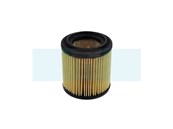 Filtre à air pour As Motor (G06305012)