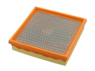 Filtre à air pour moteur Lombardini (2175134)