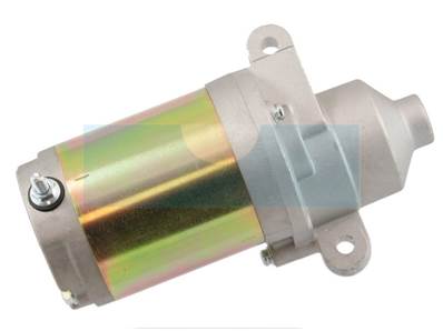 Démarreur pour moteur MTD (951-12207)