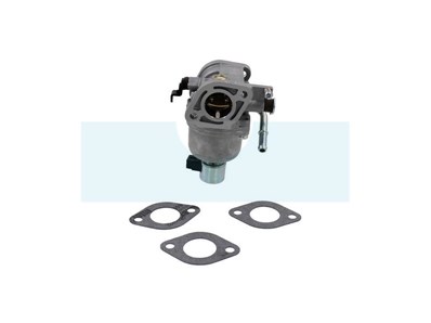 Carburateur pour moteur Briggs & Stratton (699807)