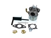 Carburateur pour moteur Briggs & Stratton (798653)