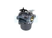 Carburateur pour moteur Briggs & Stratton (799728)